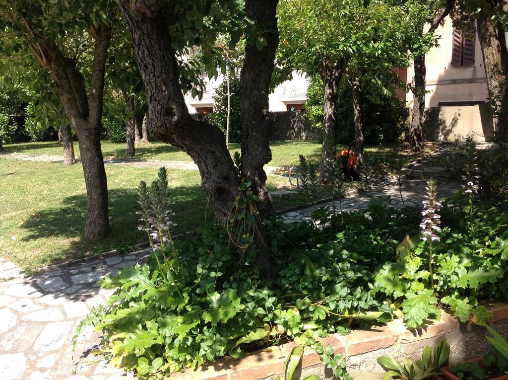 La Romita Ospitalita Rurale Familiare Villa Montisi Exterior photo